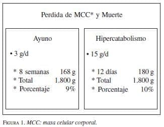 Masa Celular Corporal