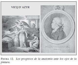 Los Progresos de la Anatomía ante los ojos de la Pintura