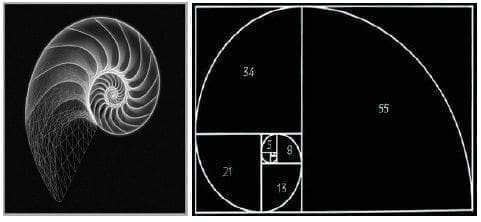 Sucesión de Fibonacci