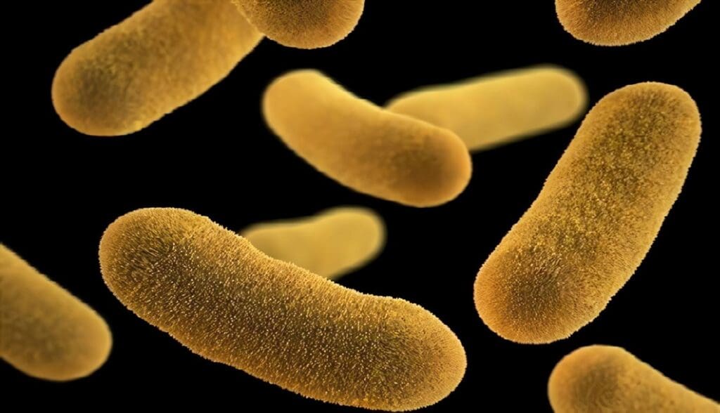 Posibilidades de Utilizar Dipéptidos Parenterales en Nutrición Clínica