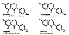 Isoflavonas