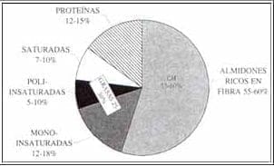 Requerimiento de macronutrientes en mujeres mayores de 50 años
