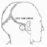 Incisión occipital inferior Incisión occipital inferior