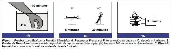 Pruebas para Evaluar la Función Simpática