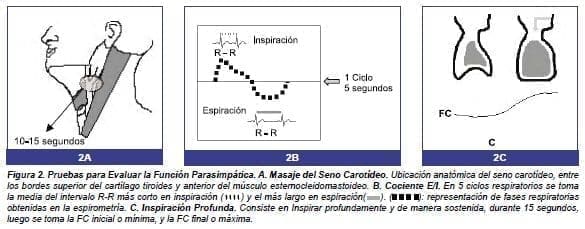 Pruebas para Evaluar la Función Parasimpática