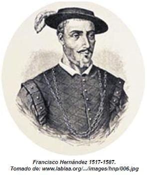 Francisco Hernández 1517-1587 Francisco Hernández 1517-1587