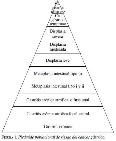 Pirámide Poblacional de Riesgo del Cáncer Gástrico