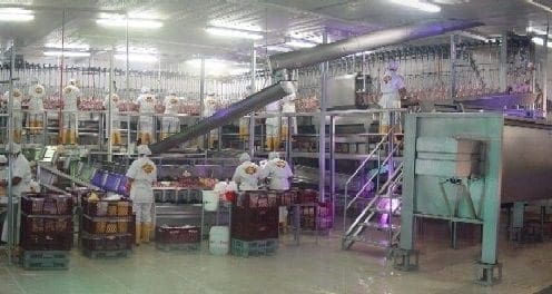 PANORAMICA PLANTA