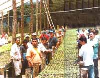 avicultores9202-32