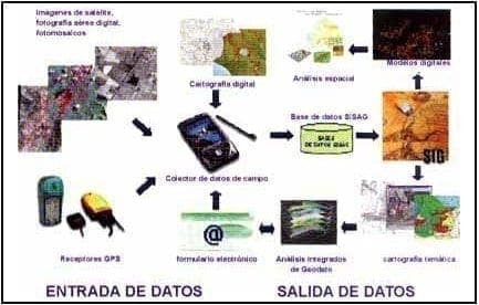 avicultores93-17b