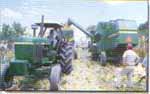 avicultores93-4d