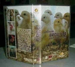 completo