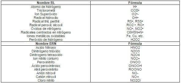 Radicales Libres (RL)