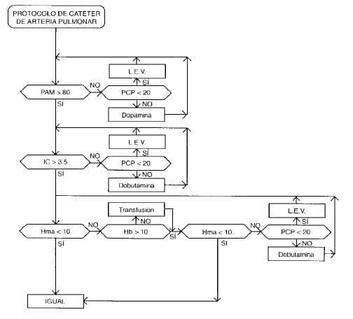 Catéter de Arteria Pulmonar
