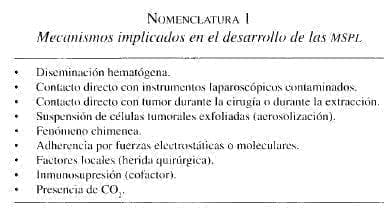 Mecanismos implicados en el desarrollo de las MSPL
