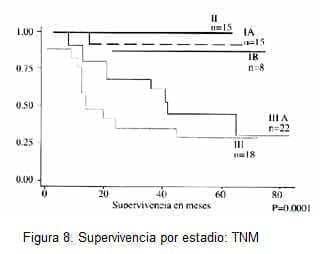 Supervivencia por estadio: TNM