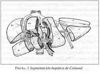 Segmentación Hepática de Coinaud.