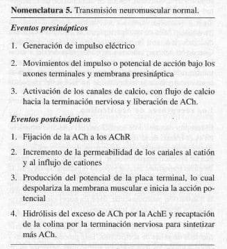 Transmisión Neuromuscular Normal