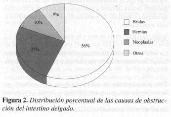 Causas de Obstrucción del Intestino Delgado