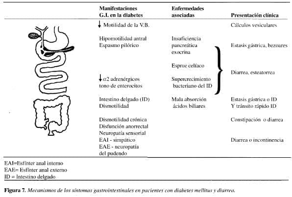 Mecanismos de los Síntomas Gastrointestinales