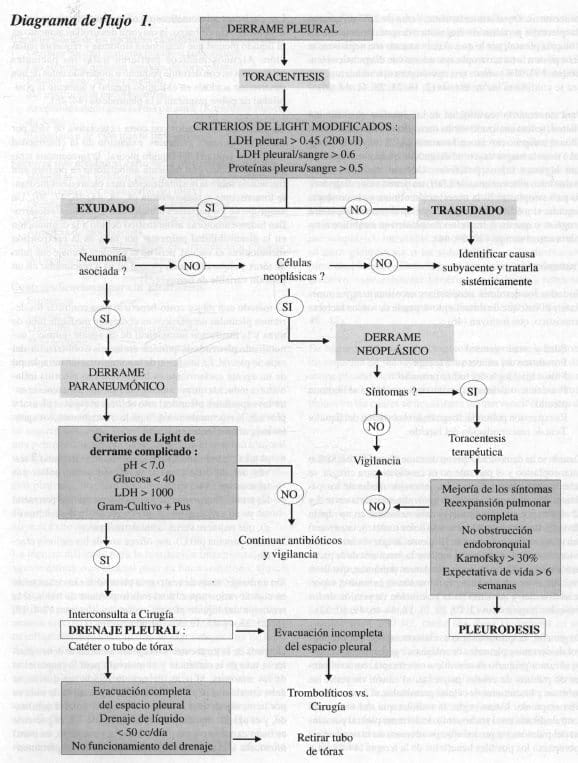 Derrame Pleural