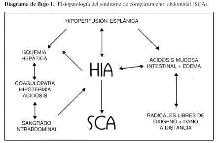 Fisiopatología del Sindrome de Compartimiento Abdominal Fisiopatología del Sindrome de Compartimiento Abdominal