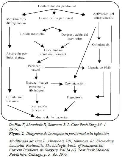Diagrama de la respuesta Peritoneal a la Infección