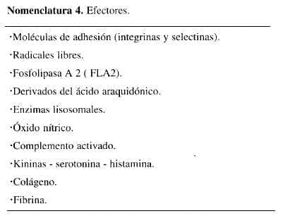Inflamación, Efectores