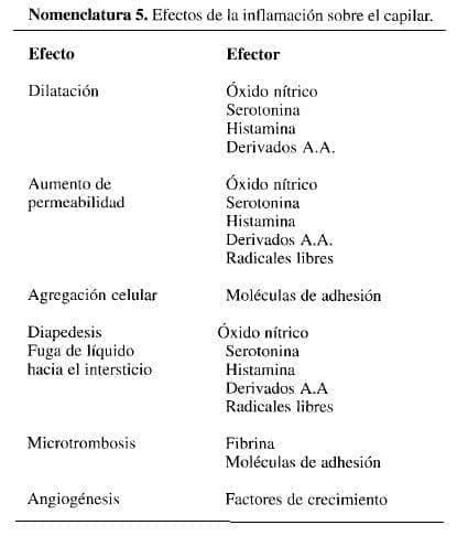 Inflamación, Efectos de la inflamación sobre el capilar
