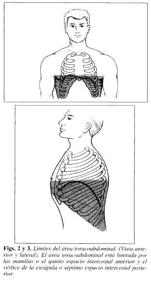 Límites del área Toracoabdominal Límites del área Toracoabdominal
