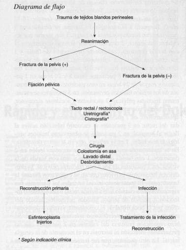 Trauma de Tejidos Blandos Perineales