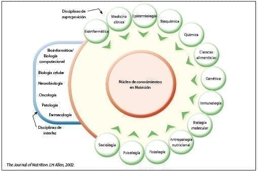 Curricular en nutrición