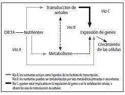Papel de los nutrientes en las células, Revolución de la Nutrición Enteral Papel de los nutrientes en las células, Revolución de la Nutrición Enteral
