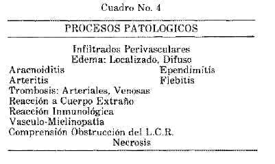 Procesos Patológicos Parasitosis y Micosis