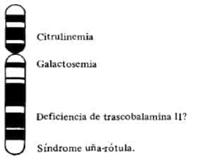 Pleiotrópico