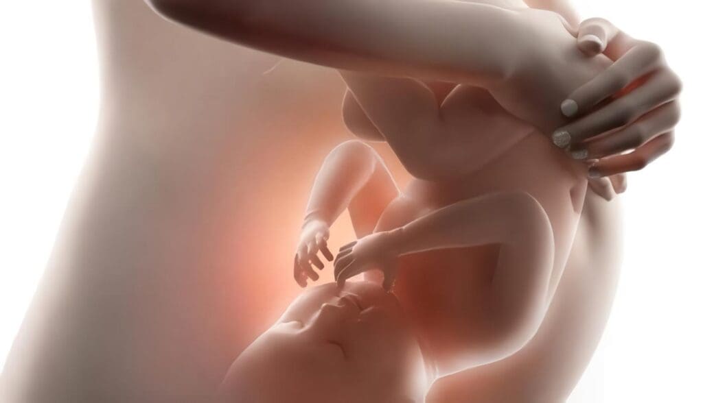 Tipo y Manejo de Complicaciones Hemorrágicas en la Terapia Hormonal de Sustitución (THS) con el Tratamiento Continuo