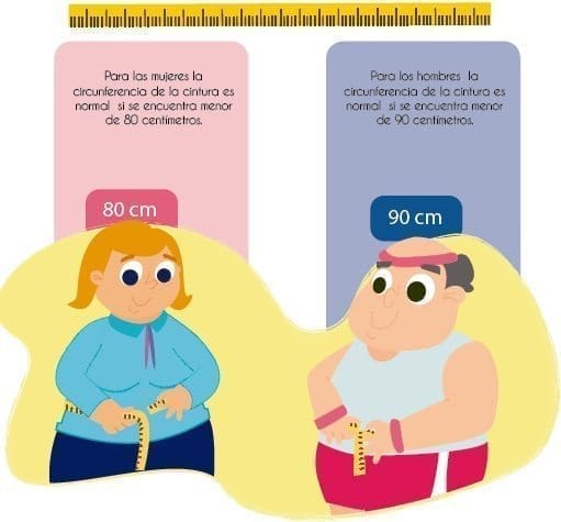 Obesidad abdominal
