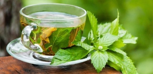 Alimentos Esenciales para Desintoxicar el Cuerpo