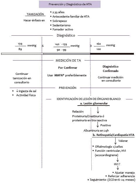 Esquema para la prevención y diagnóstico de HTA