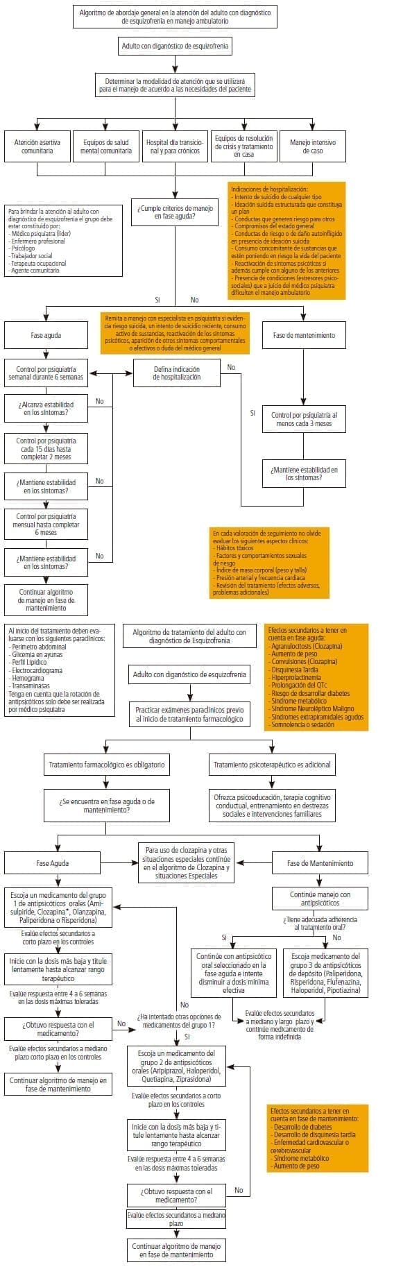 Atención del adulto con diagnóstico de esquizofrenia