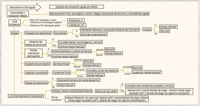 Manejo del paciente con intoxicación aguda por alcohol