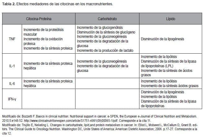 Efectos mediadores de las citocinas en los macronutrientes Efectos mediadores de las citocinas en los macronutrientes