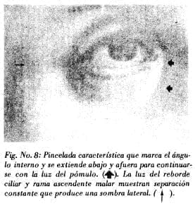 Pincelada del ángulo interno en ojo