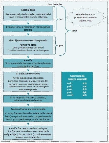 Atención del Niño en Sala de Partos