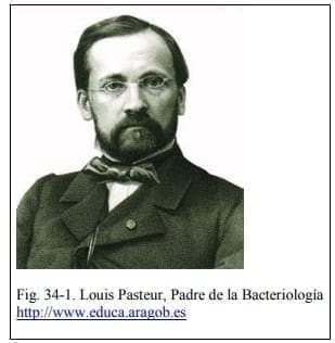 Louis Pasteur