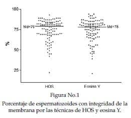 Espermatozoides con integridad de la membrana por las técnicas de HOS