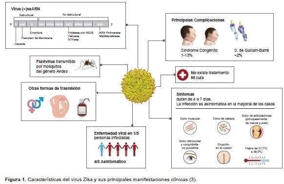 Características del virus Zika