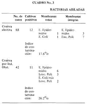 Estudio Bacteriológico del líquido amniótico
