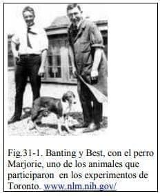 Banting y Best