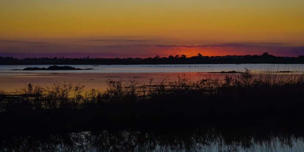 Río Bita es un Sitio Ramsar